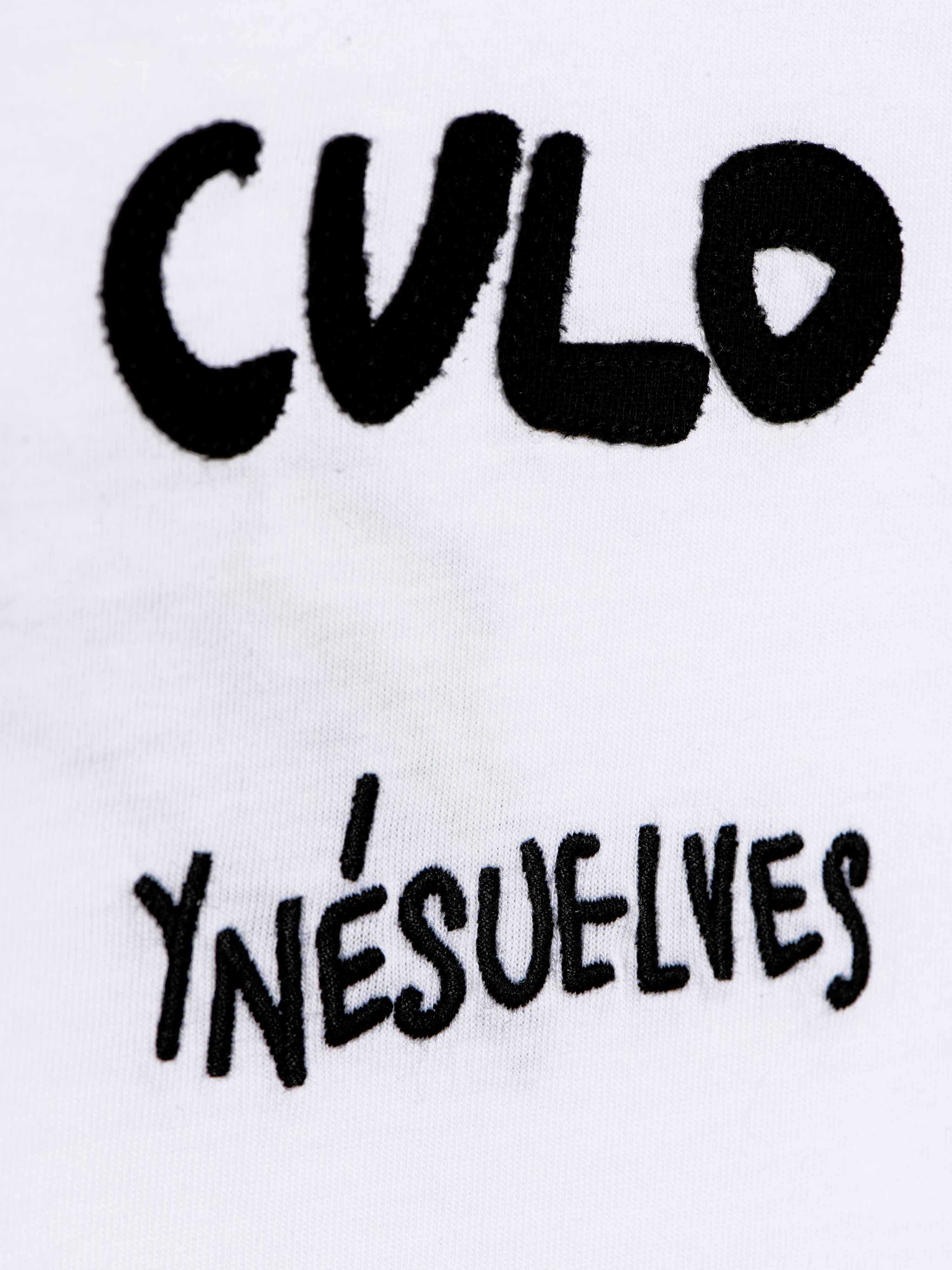 Camiseta tengo una flor en el culo