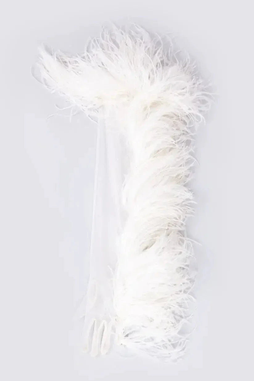 Swan gloves