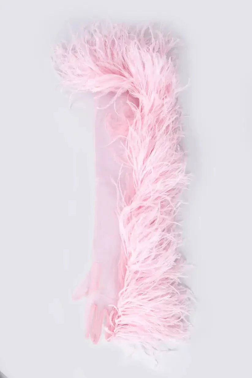 Swan gloves
